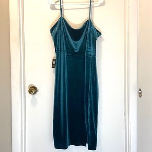 Express Velvet Dress